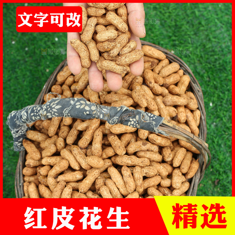 红皮花生