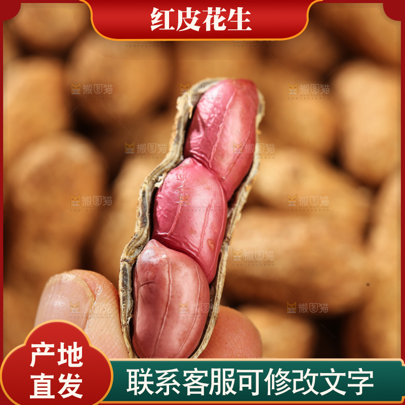 红皮花生