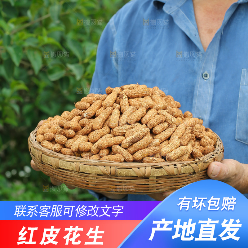 红皮花生