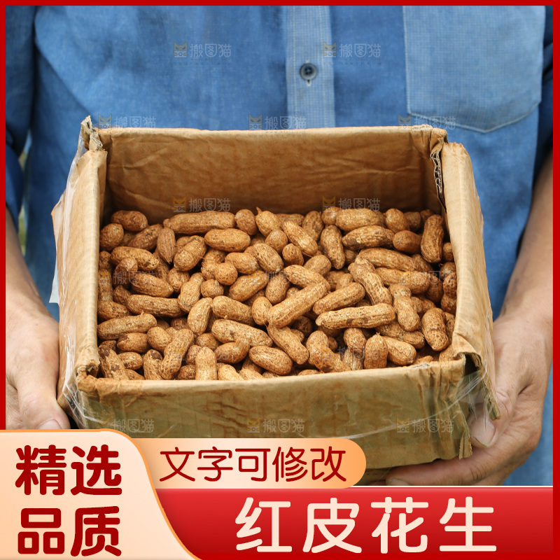 红皮花生
