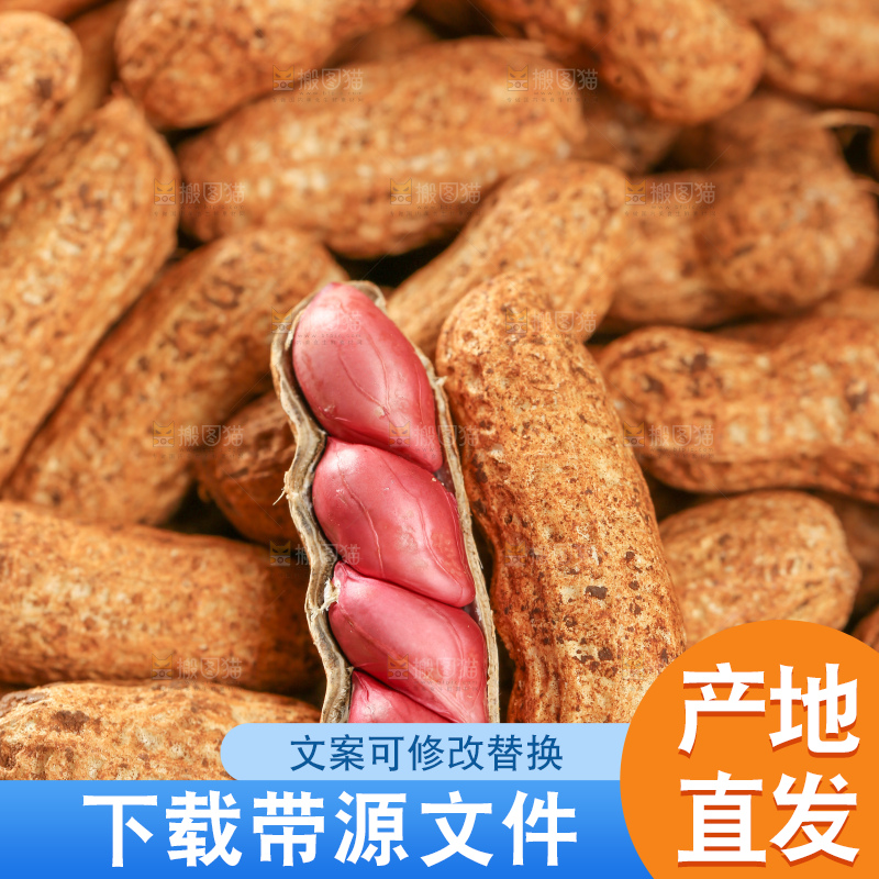 红皮花生