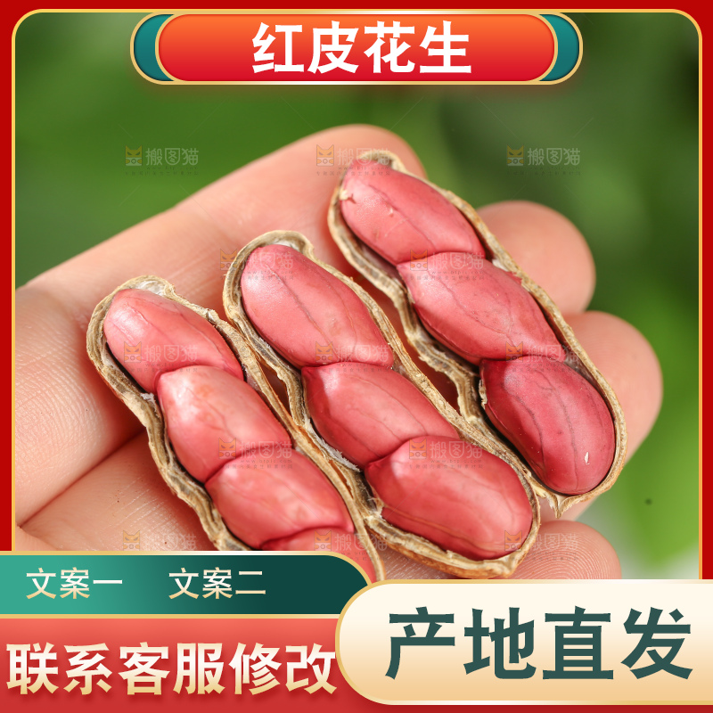 红皮花生