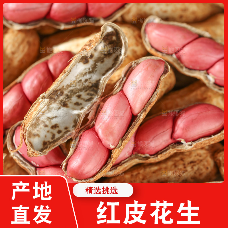 红皮花生