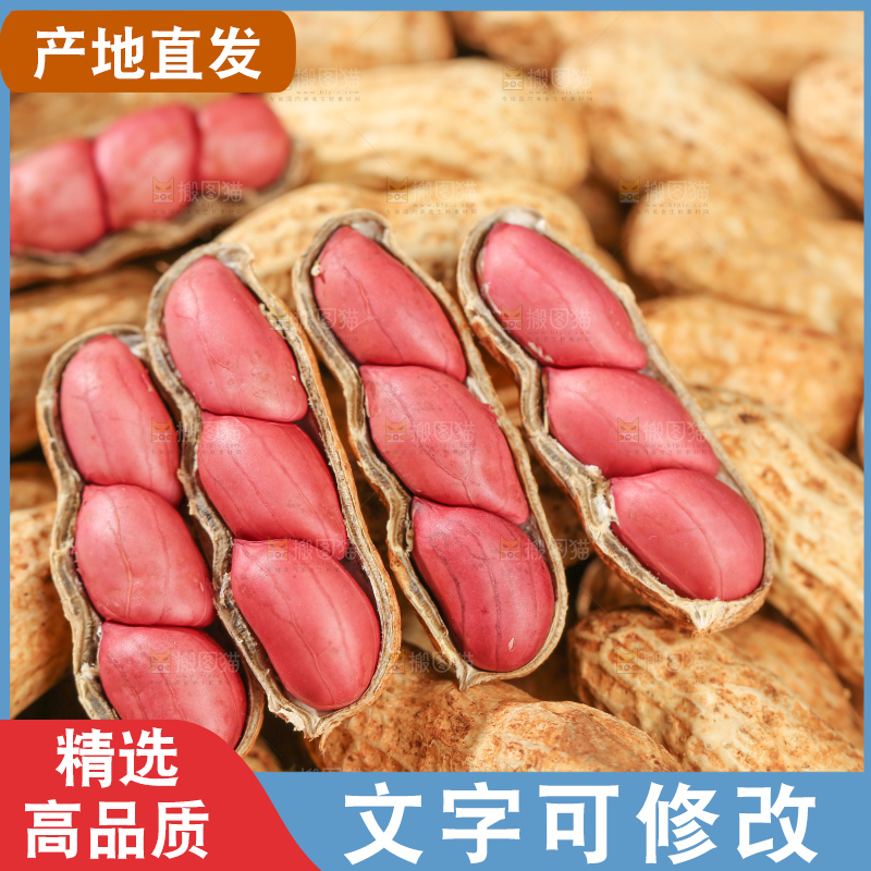 红皮花生