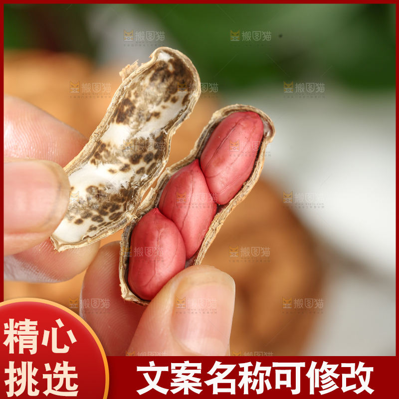 红皮花生