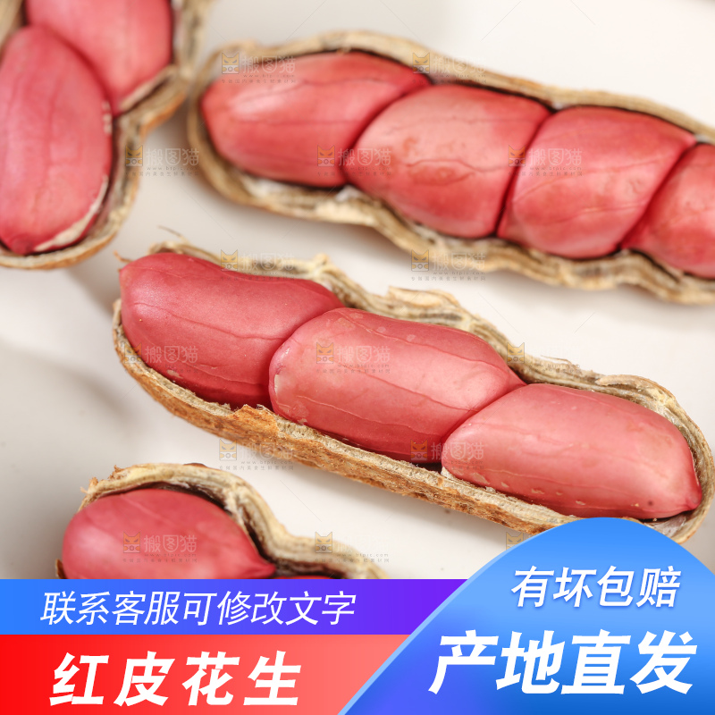 红皮花生