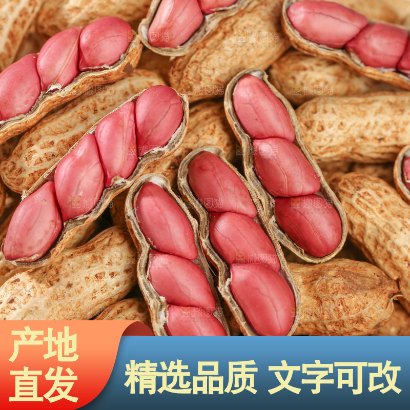 红皮花生