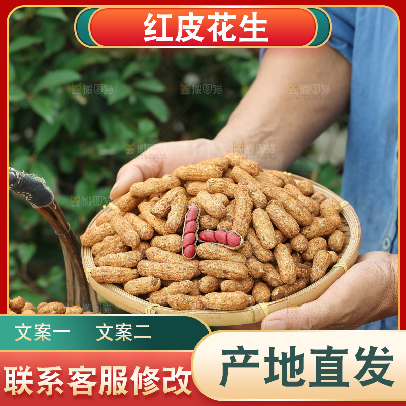 红皮花生