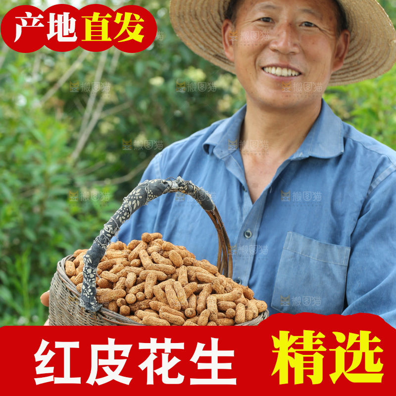 红皮花生