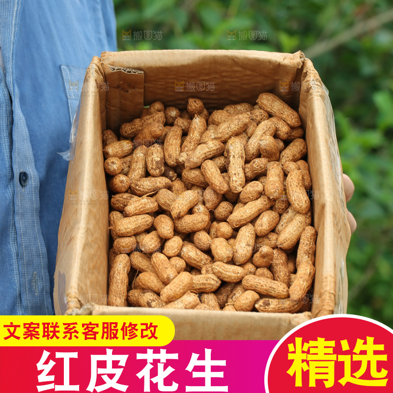 红皮花生