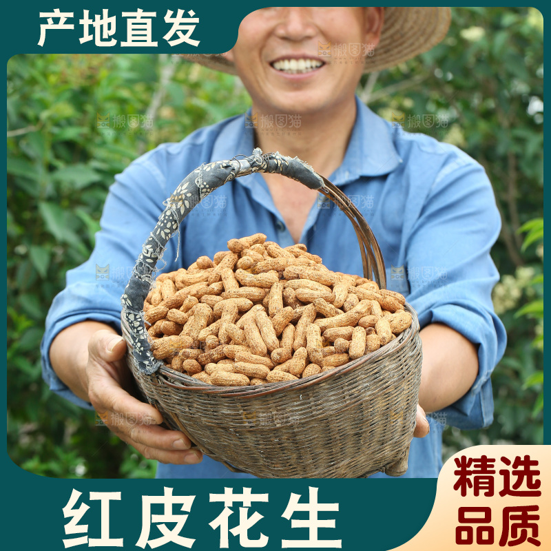 红皮花生