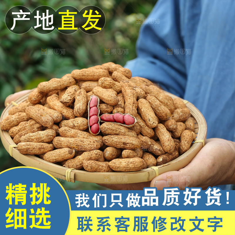 红皮花生