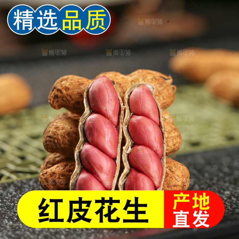 红皮花生