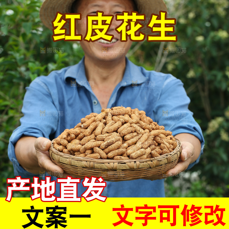 红皮花生