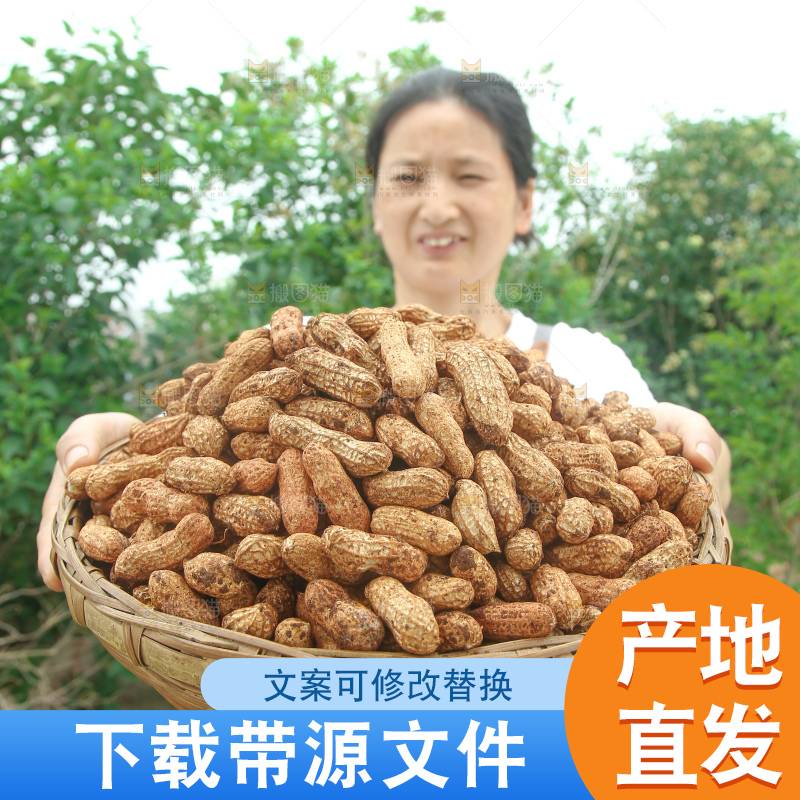 红皮花生