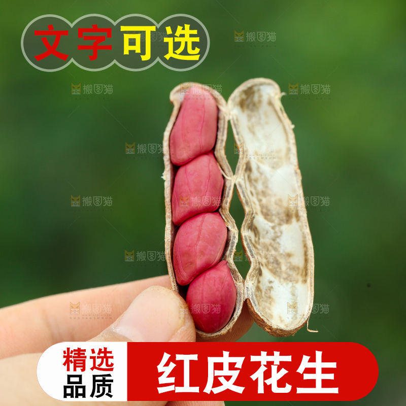 红皮花生