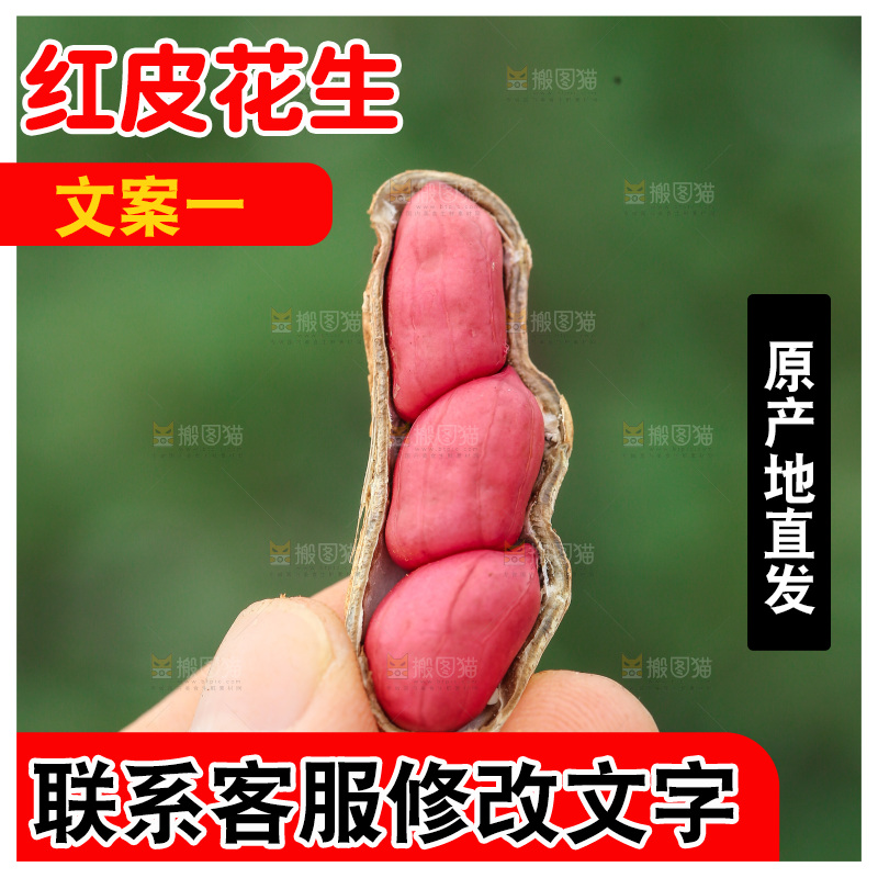 红皮花生