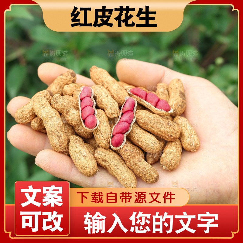 红皮花生