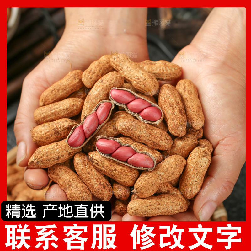 红皮花生