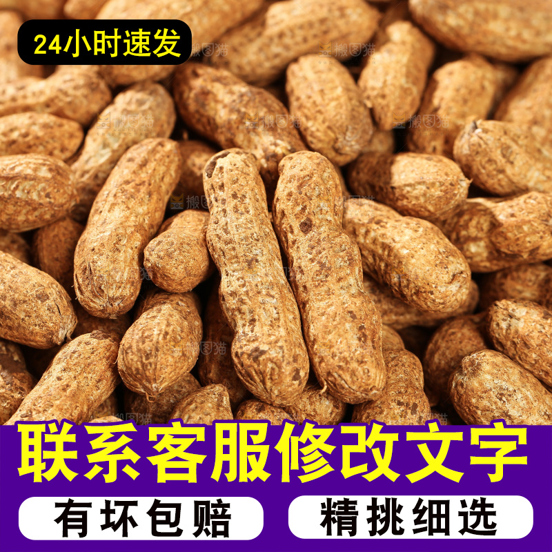 红皮花生