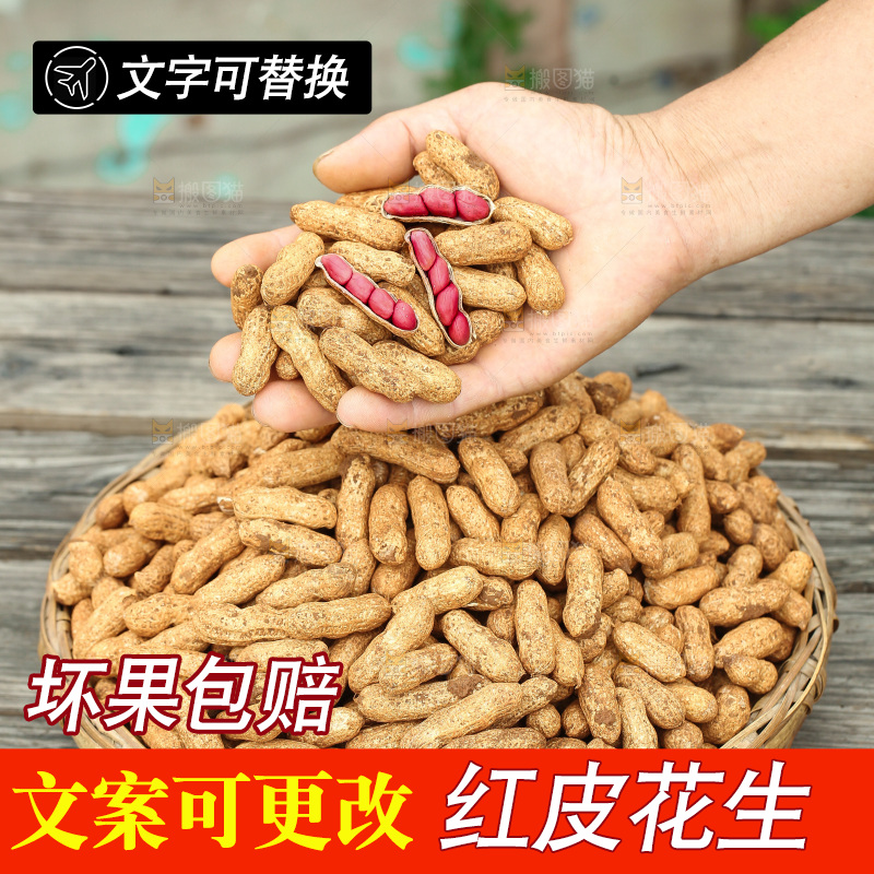 红皮花生