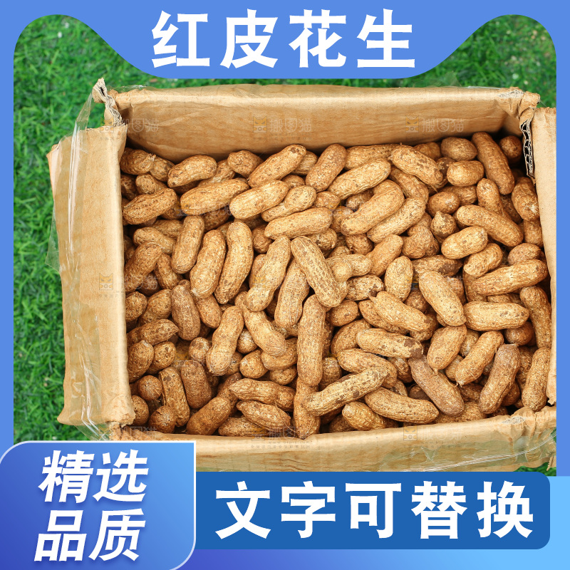 红皮花生