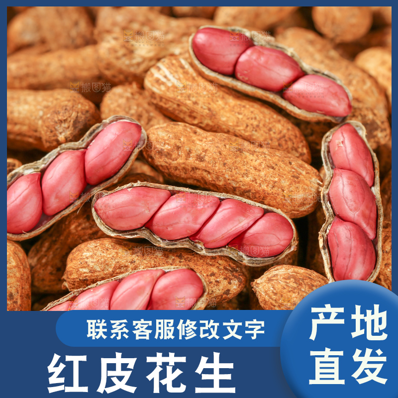 红皮花生
