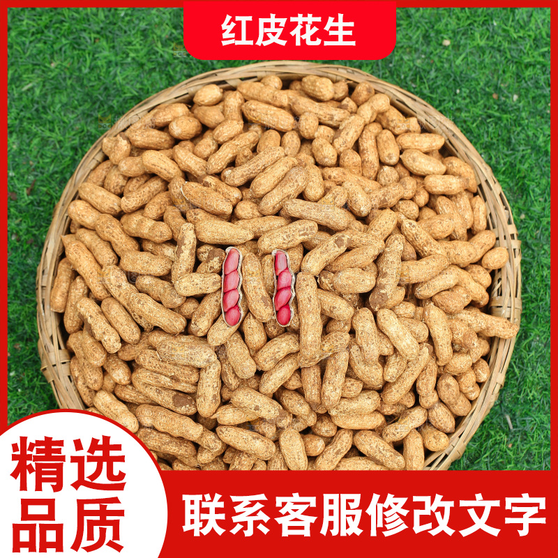 红皮花生