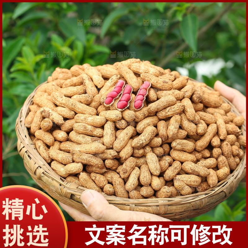 红皮花生