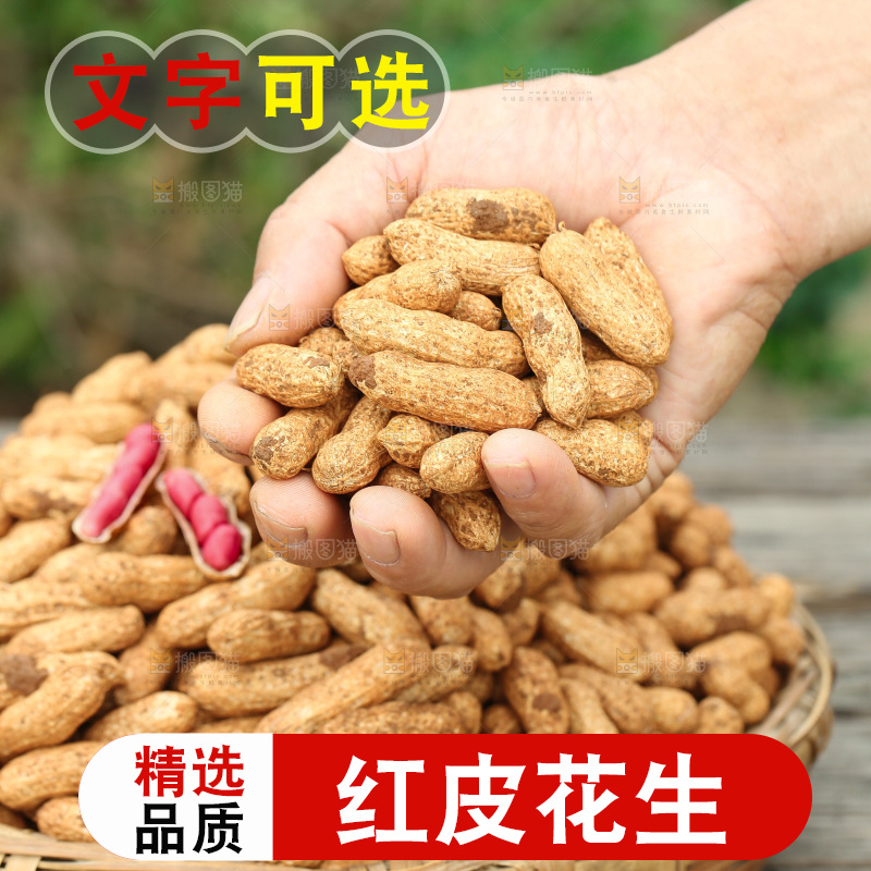 红皮花生