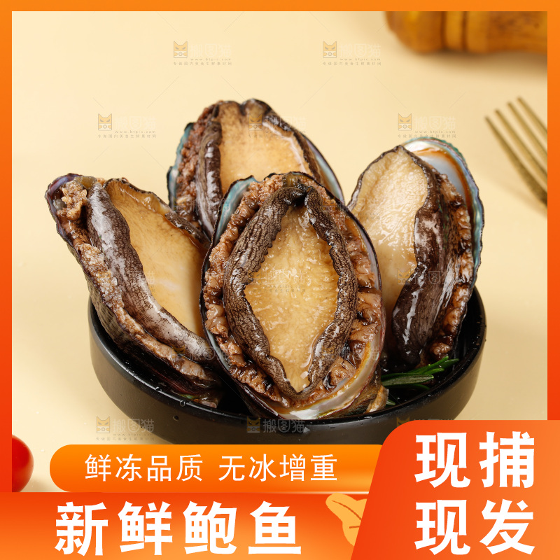 鲍鱼