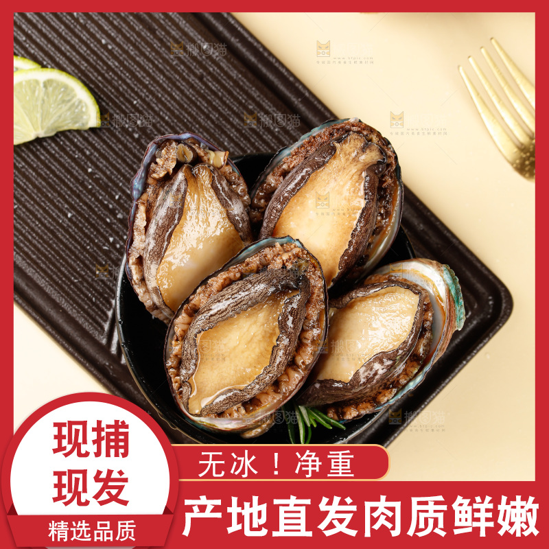 鲍鱼