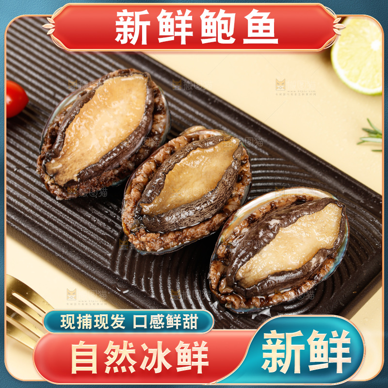 鲍鱼