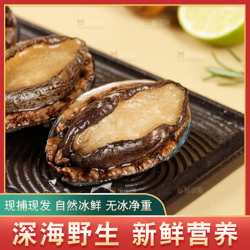 鲍鱼