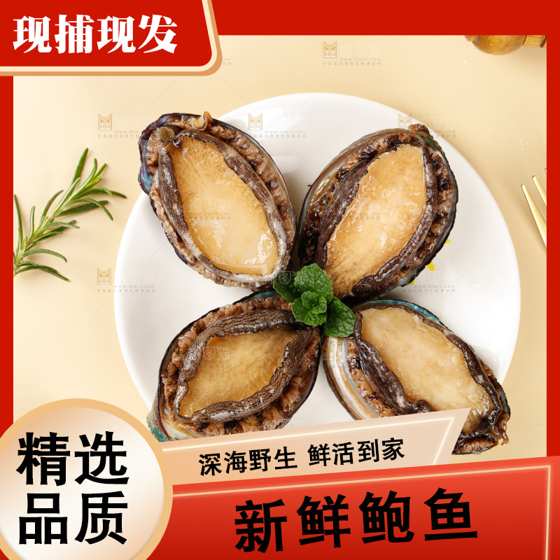 鲍鱼