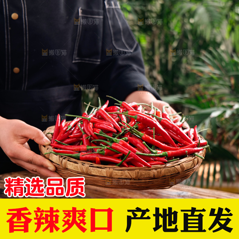小米椒