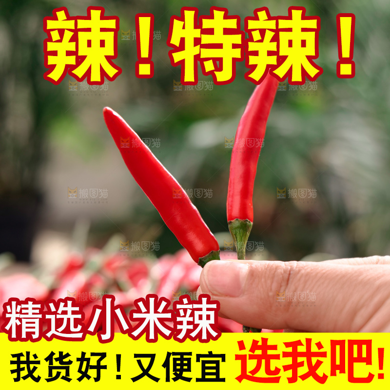小米椒