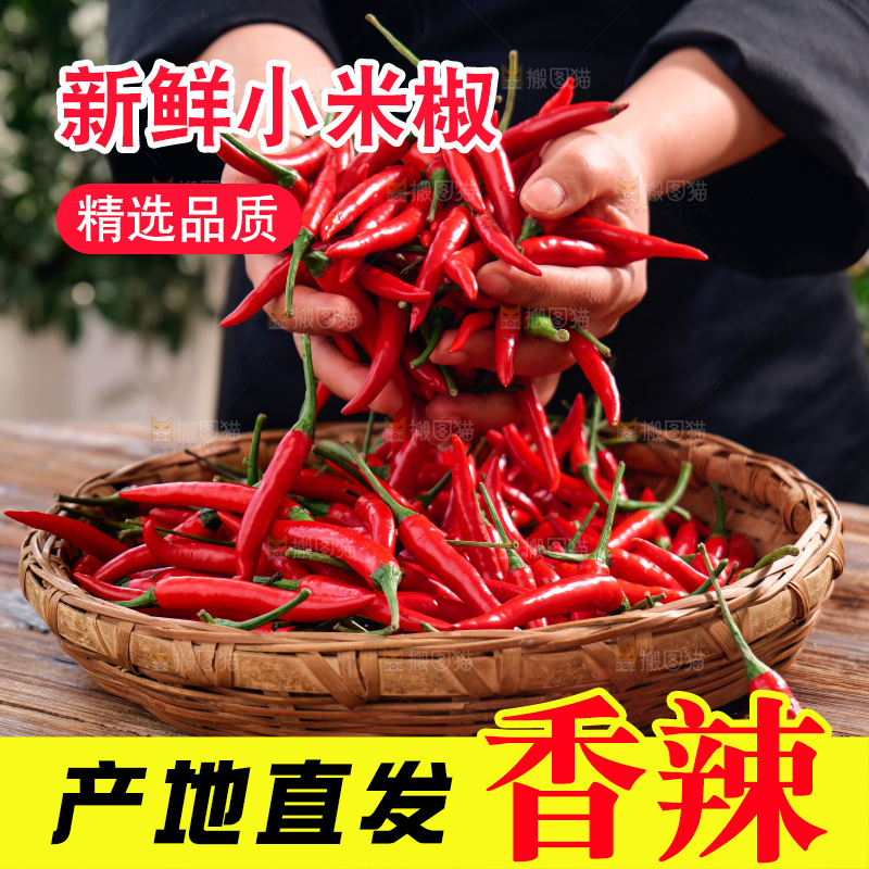 小米椒