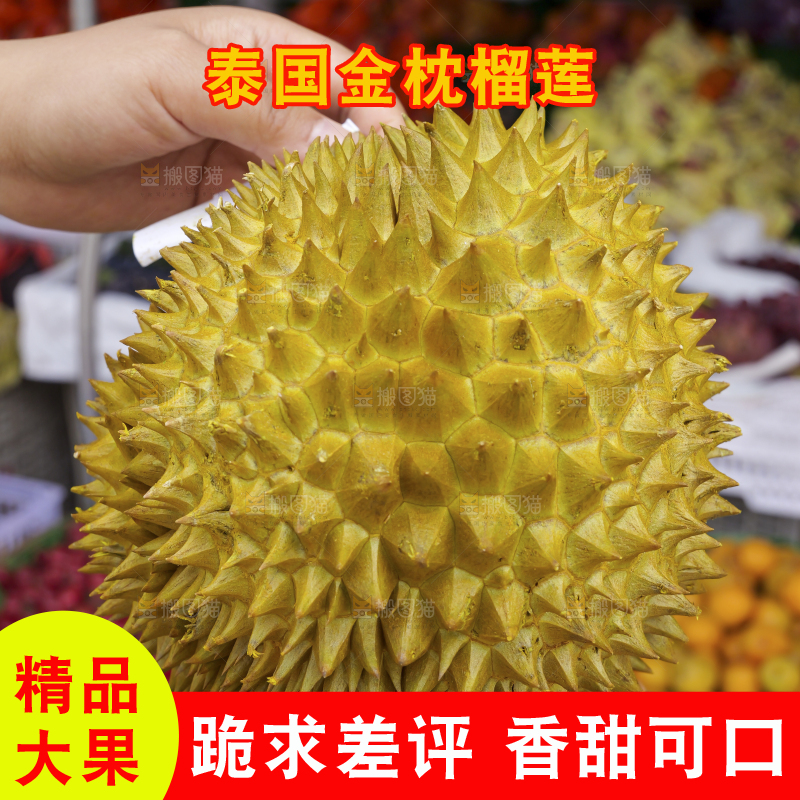金枕榴莲