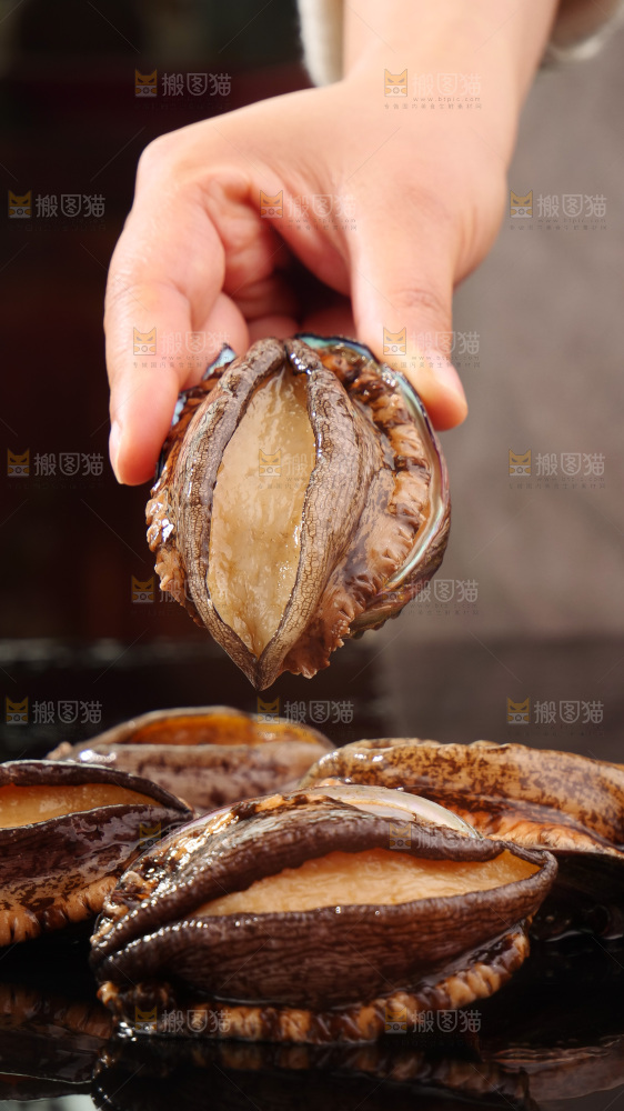 鲍鱼