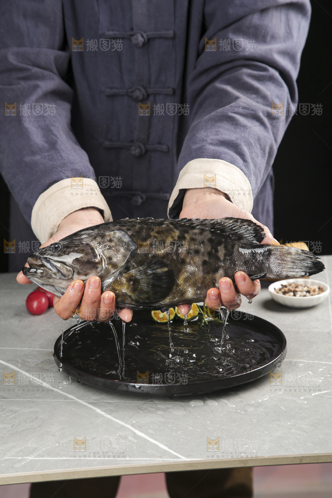 石斑鱼