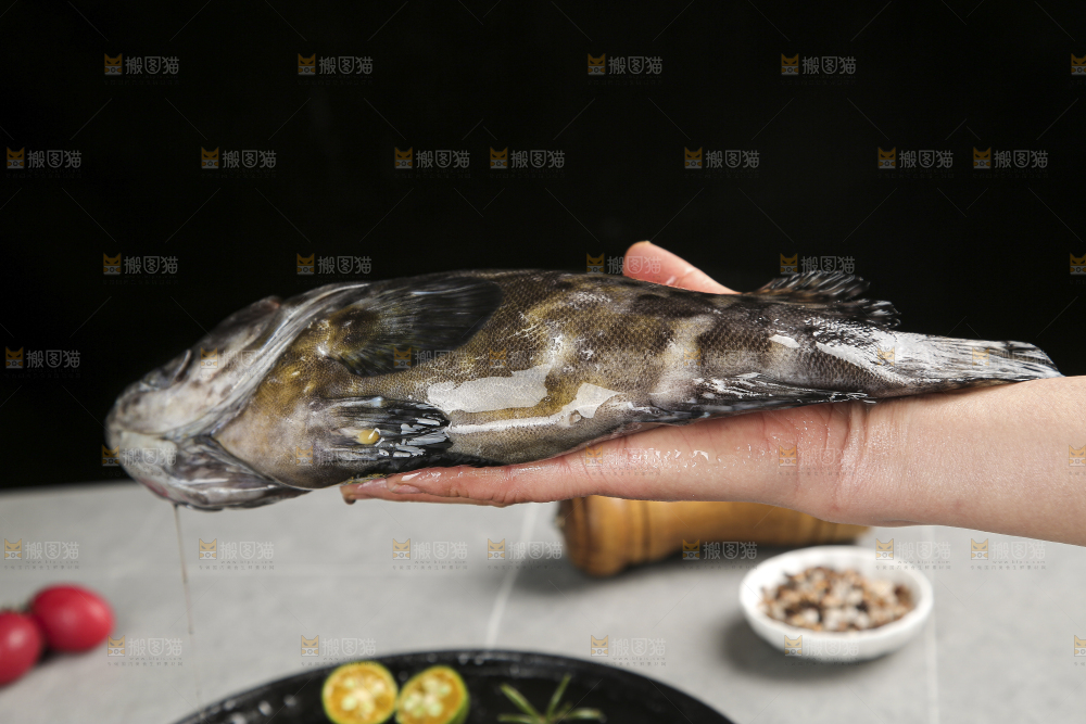 石斑鱼