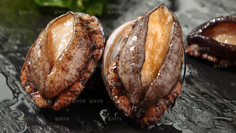 鲍鱼