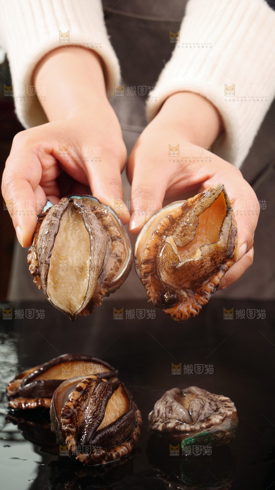 鲍鱼