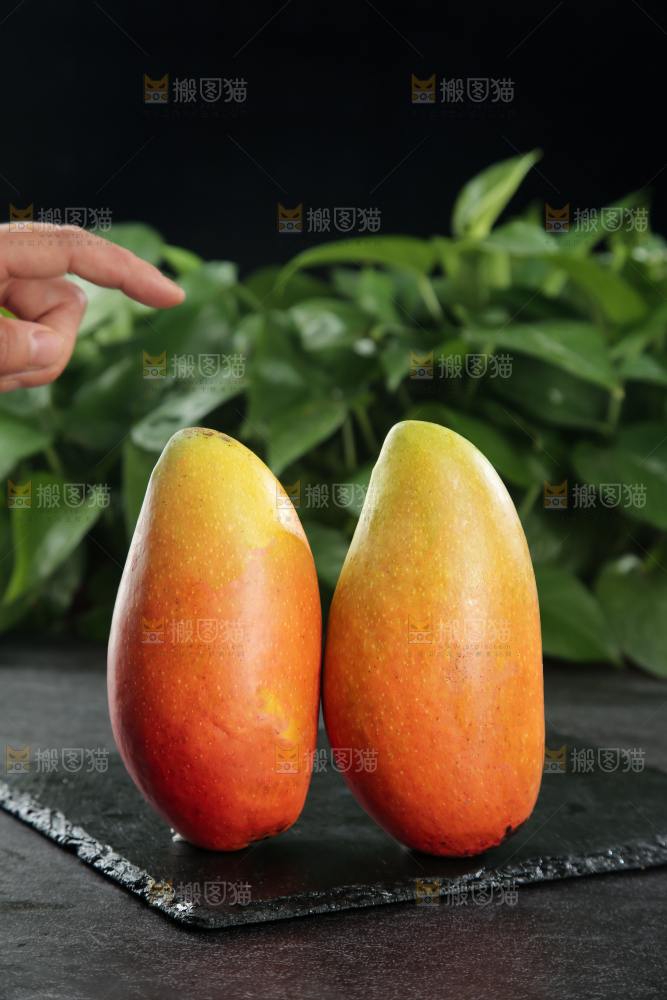 贵妃芒