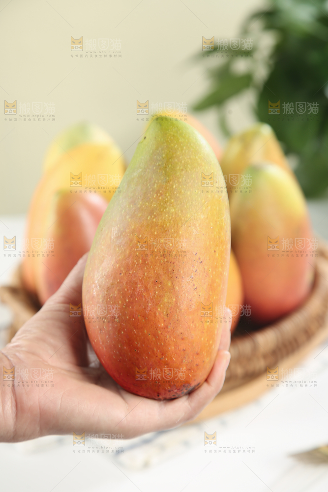 贵妃芒