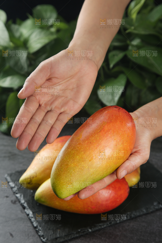 贵妃芒