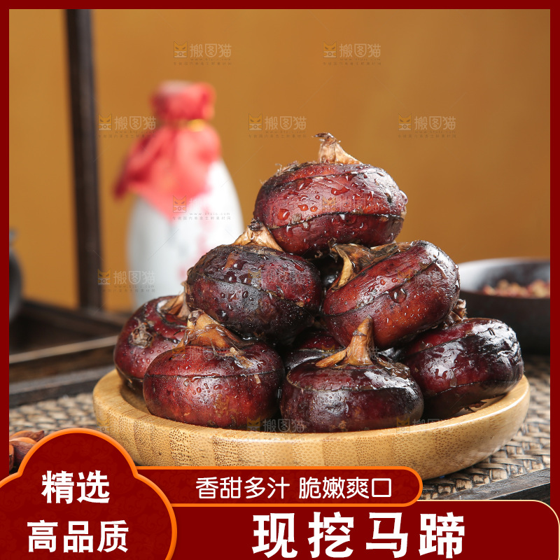 马蹄