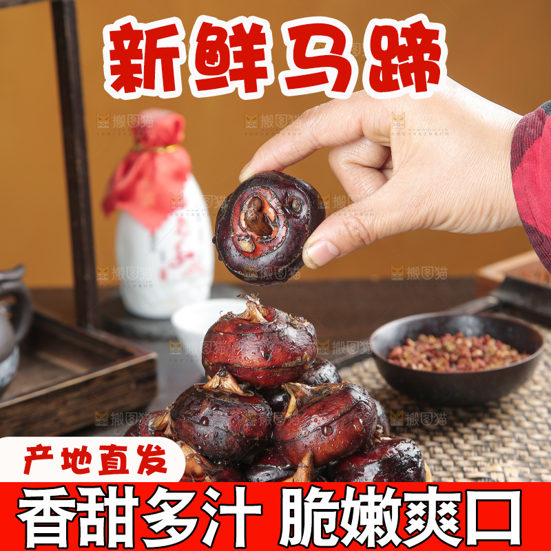 马蹄