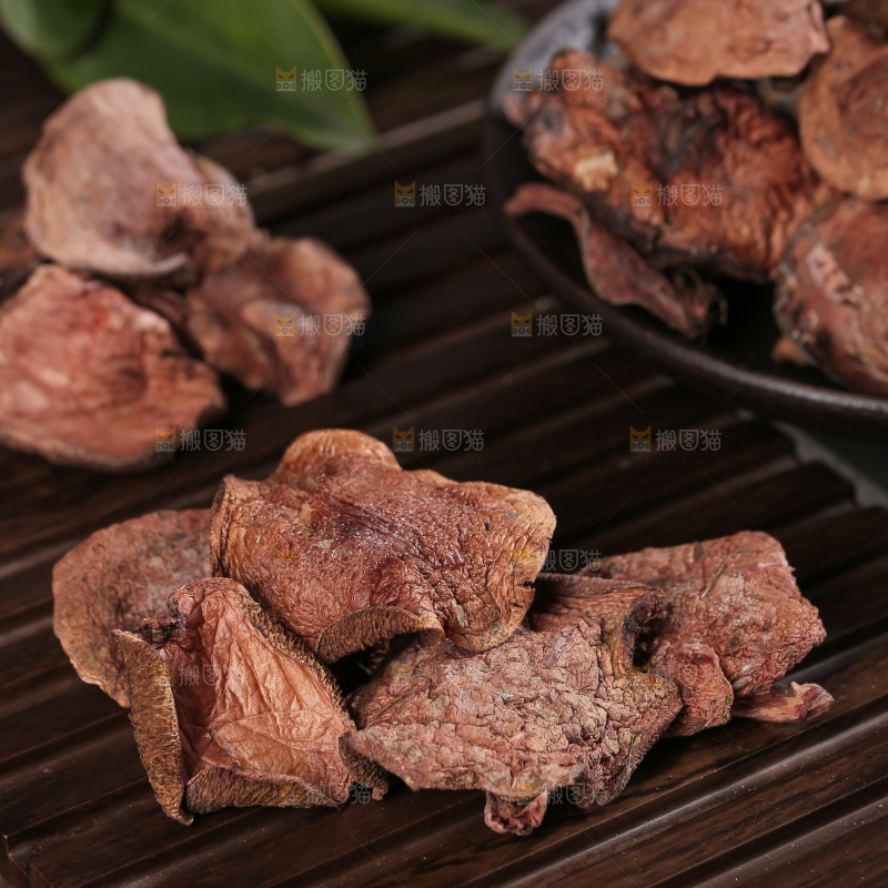 红乳牛肝菌